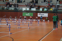 NW Halle SG