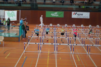 NW Halle SG