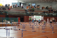 NW Halle SG