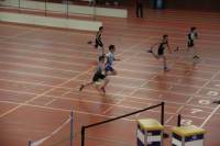 NW Halle SG
