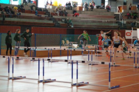NW Halle SG