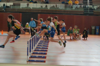 NW Halle SG