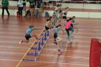 NW Halle SG