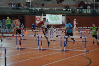 NW Halle SG