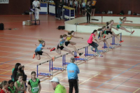NW Halle SG
