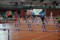 NW Halle SG
