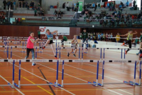 NW Halle SG