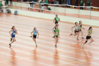 NW Halle SG