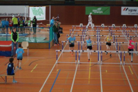 NW Halle SG