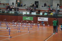 NW Halle SG