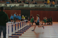 NW Halle SG