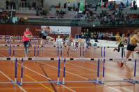 NW Halle SG