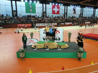 SM Halle