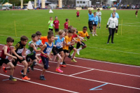 1000m AI
