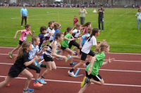 1000m AI