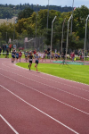 CHF 1000m