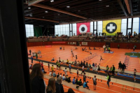 Halle SG