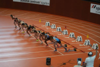 Halle SG