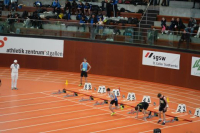 Halle SG