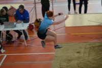 Halle SG