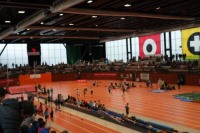 Halle SG