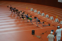 Halle SG