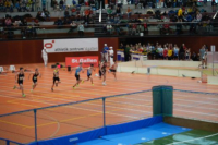 Halle SG
