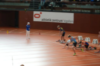 Halle SG