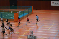 Halle SG