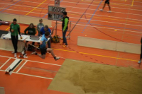 Halle SG