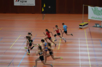 Halle SG