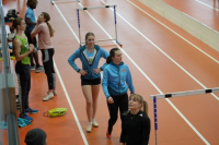 Halle SG