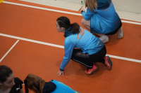 Halle SG