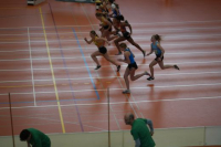 Halle SG