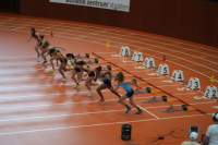 Halle SG