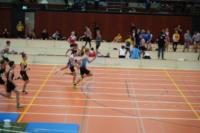 Halle SG