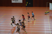 Halle SG