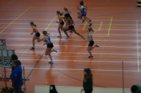 Halle SG