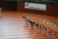 Halle SG
