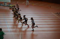 Halle SG