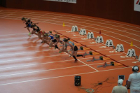 Halle SG