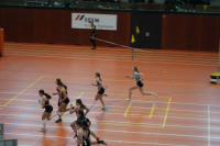 Halle SG