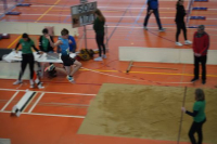 Halle SG