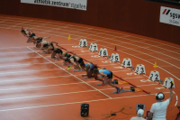 Halle SG