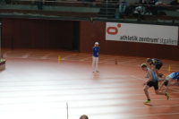 Halle SG