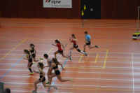Halle SG