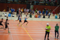 Halle SG