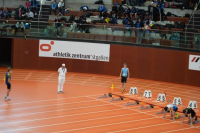 Halle SG