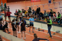 Halle SG