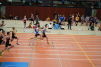 Halle SG